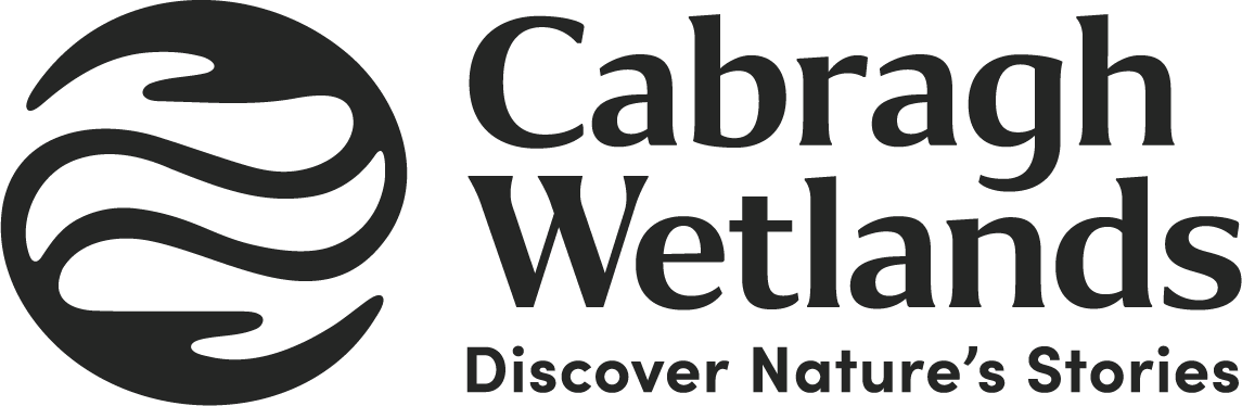 Designedly Client Logos 14